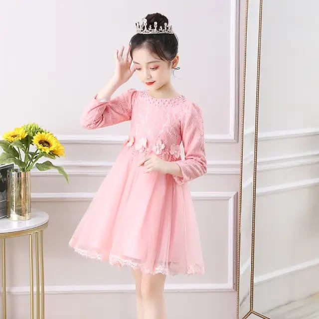 Robe de Fête en Tulle avec Broderies et Manches Longues