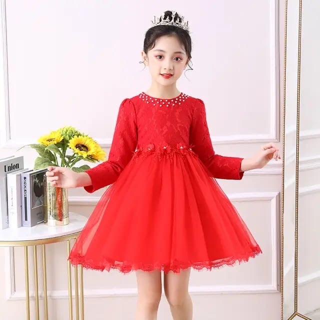 Robe de Fête en Tulle avec Broderies et Manches Longues