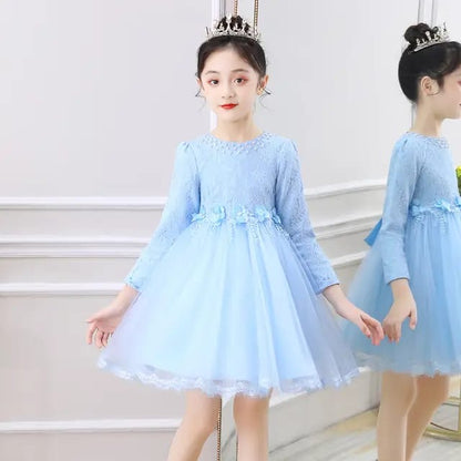 Robe de Fête en Tulle avec Broderies et Manches Longues